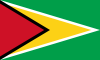 800px-Flag_of_Guyana.svg